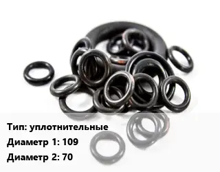 Кольцо РТИ уплотнительные D=109х70